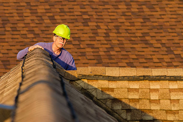Best Storm Damage Roof Repair  in Fulda, MN
